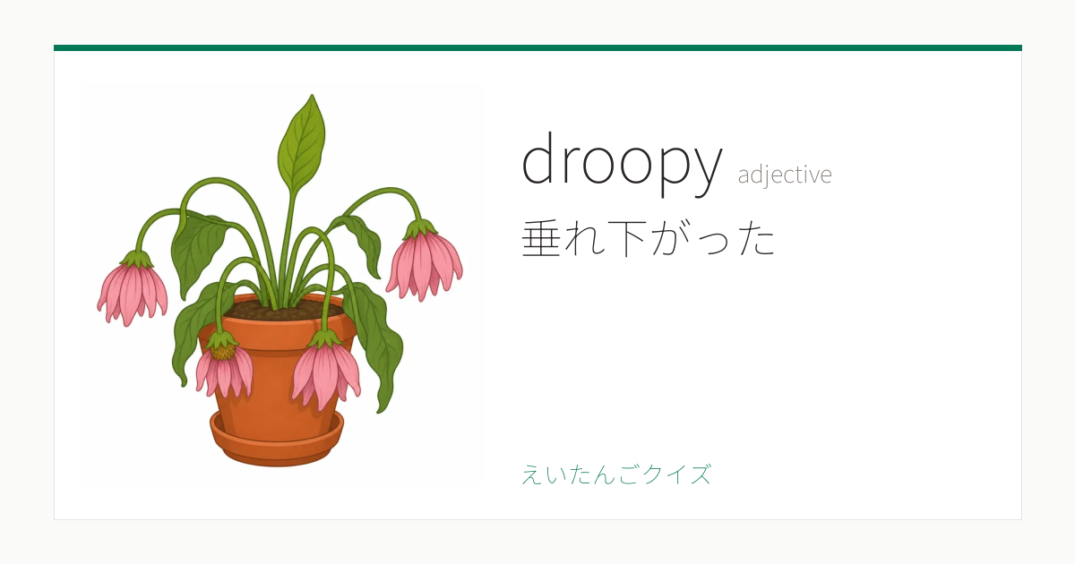 droopy の覚え方｜垂れ下がった・意味・例文・TOEIC 860