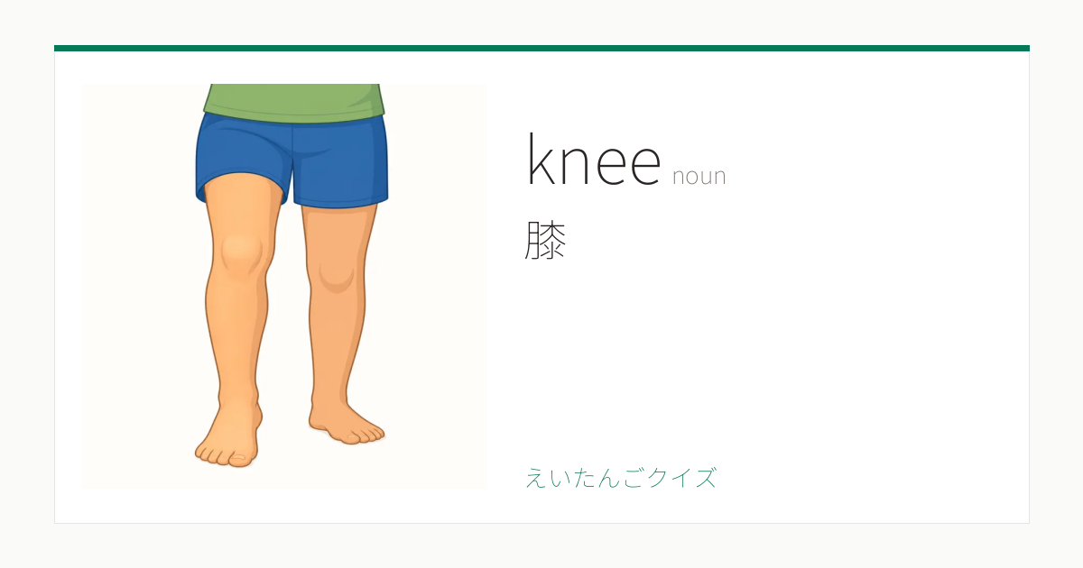 knee の覚え方｜膝・意味・例文・英検4級