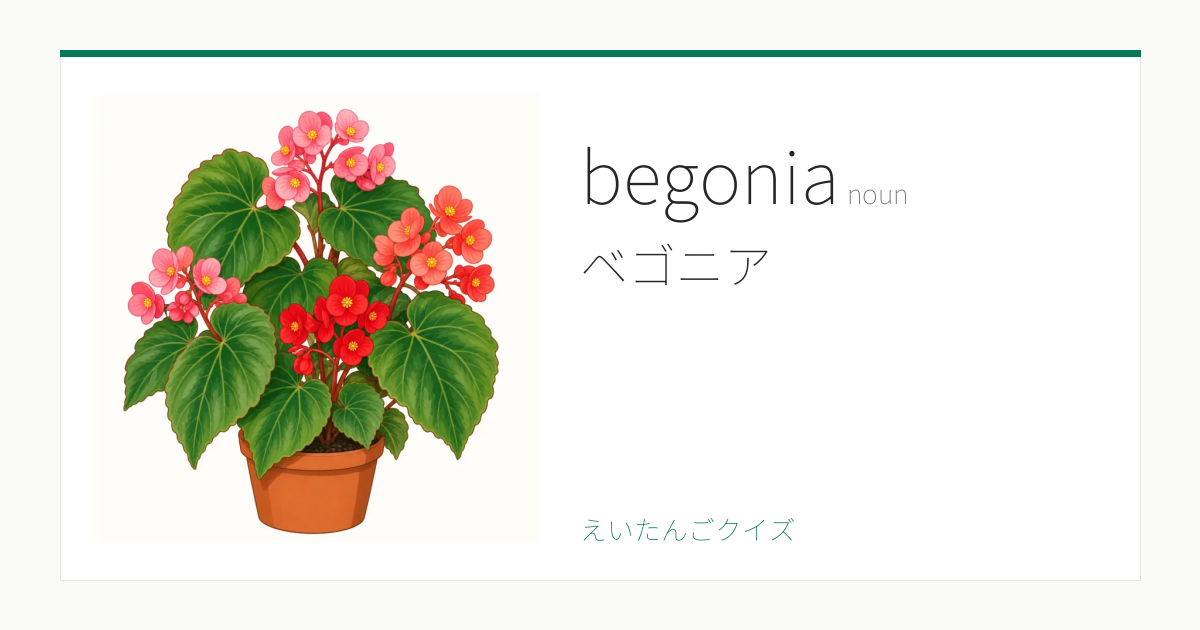 begonia の覚え方｜ベゴニア・意味・例文